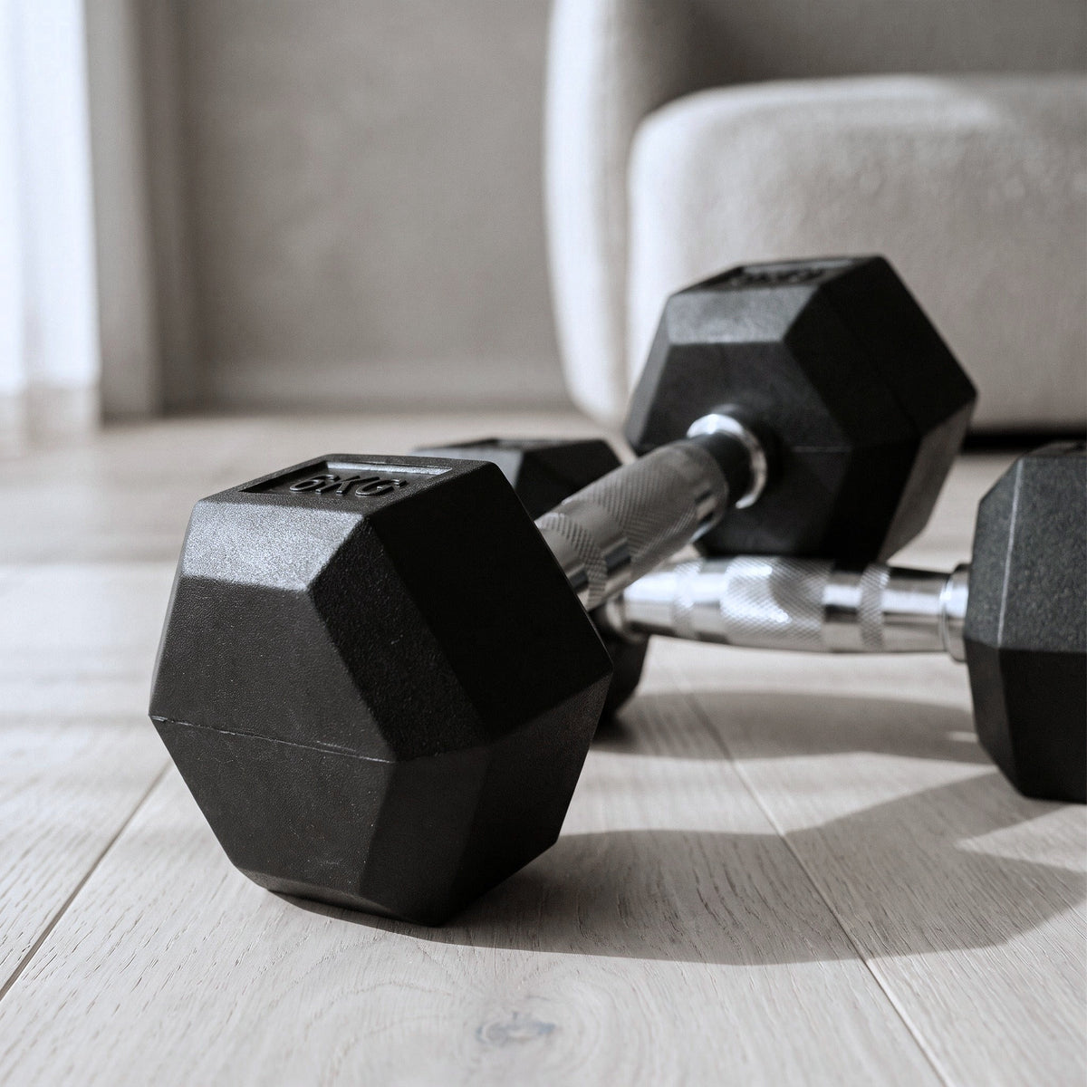Alyn Haus Rubber Hex Dumbbells (Pair)