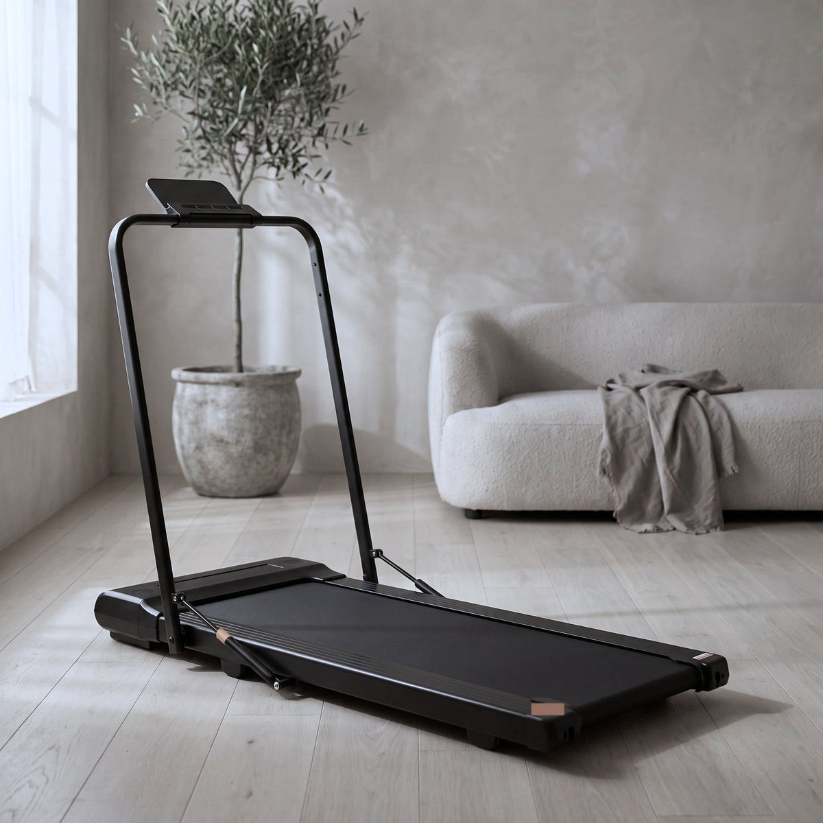 Alyn Haus Walking Pad Treadmill with Handrail