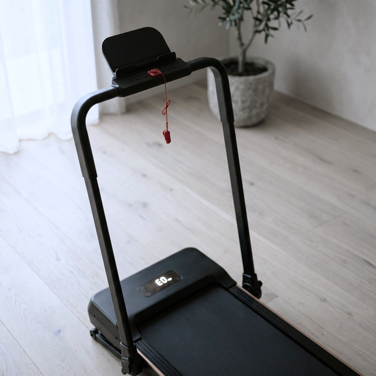 Alyn Haus Incline Walking Pad Treadmill with Handrail